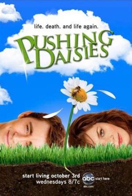  Pushing Daisies: Eine Serie über Tod, Liebe und Kuchen mit einem Hauch von Magie!